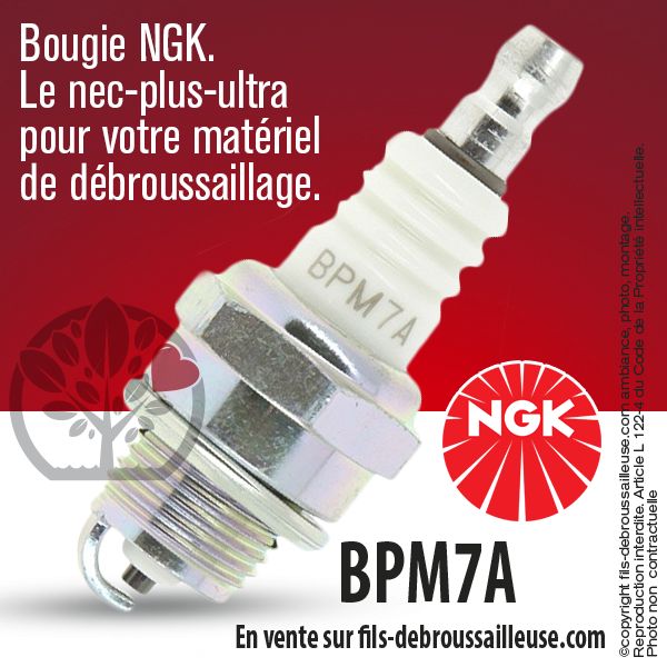 Bougie culot court NGK BPMR7A pour Pocket bike, tondeuses, tronçonneuses  (indice chaud)